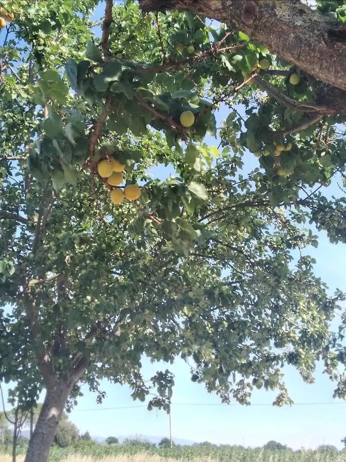 Agriturismo Il Grottino