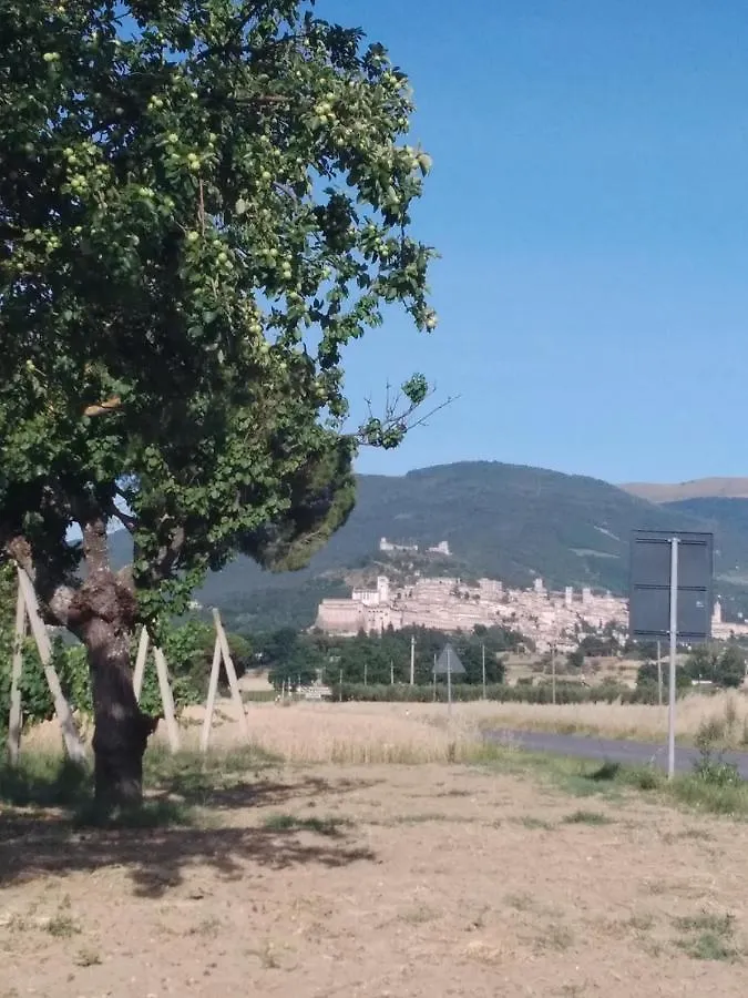 Farm stay Agriturismo Il Grottino