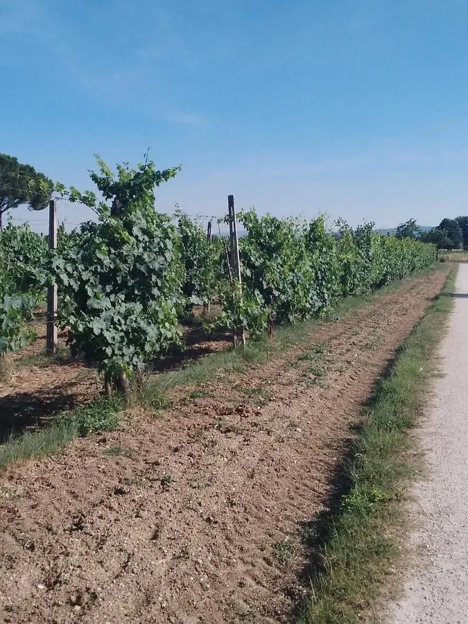 Agriturismo Il Grottino 0*, Assisi Italy